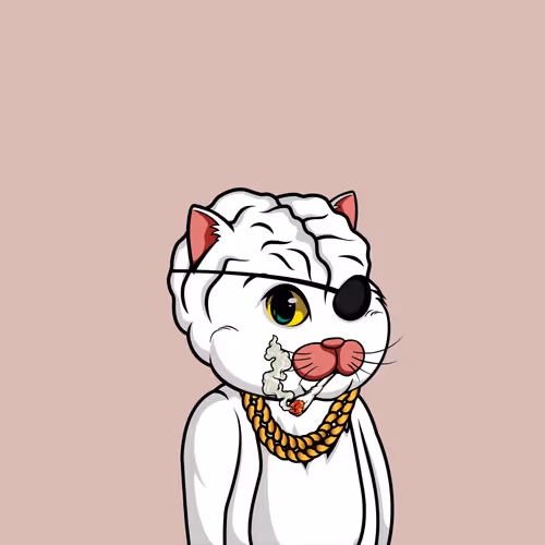 Bigbraincatsociety