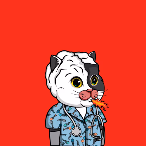 Bigbraincatsociety