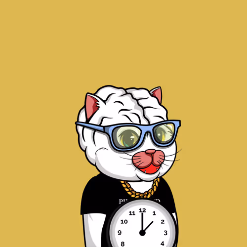 Bigbraincatsociety