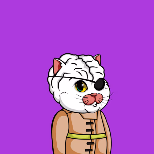 Bigbraincatsociety