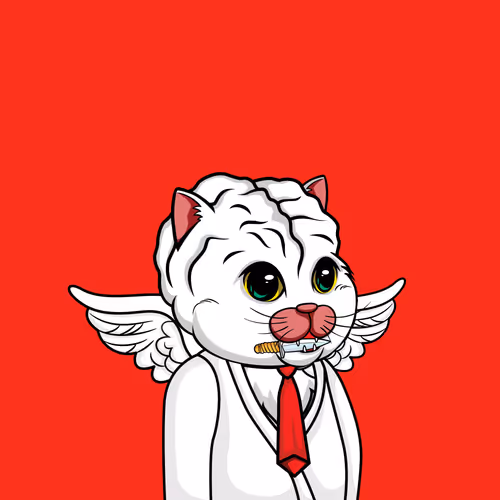 Bigbraincatsociety