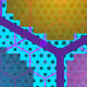 43556142965880123323311949751266331066488
