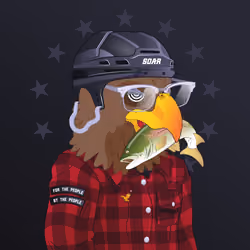 34