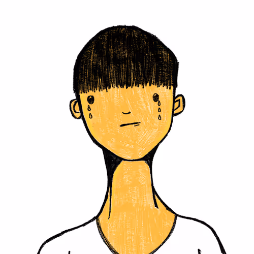 Avius Animae