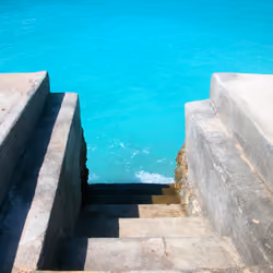 The First Step