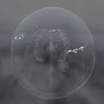 Item #91 Media
