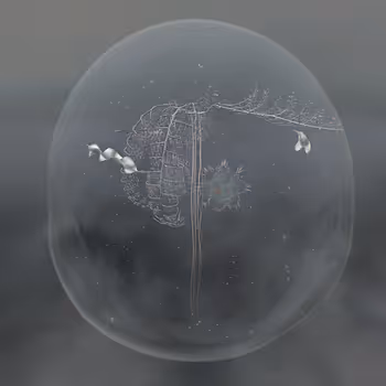 Item #96 Media
