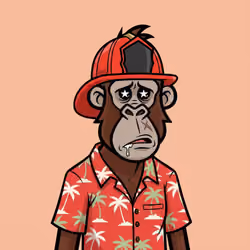 Funny Monkeys #0554