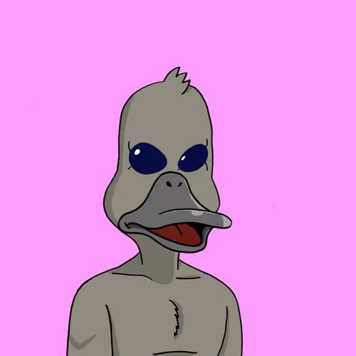 Duck #9065