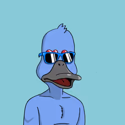 Duck #6044