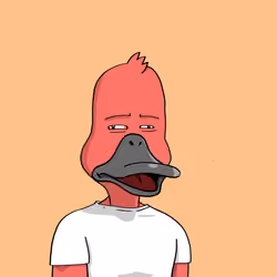 Duck #5019