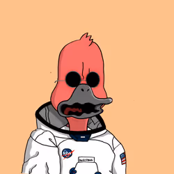 Duck #6391