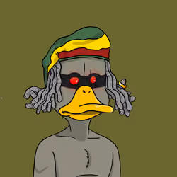 Duck #876