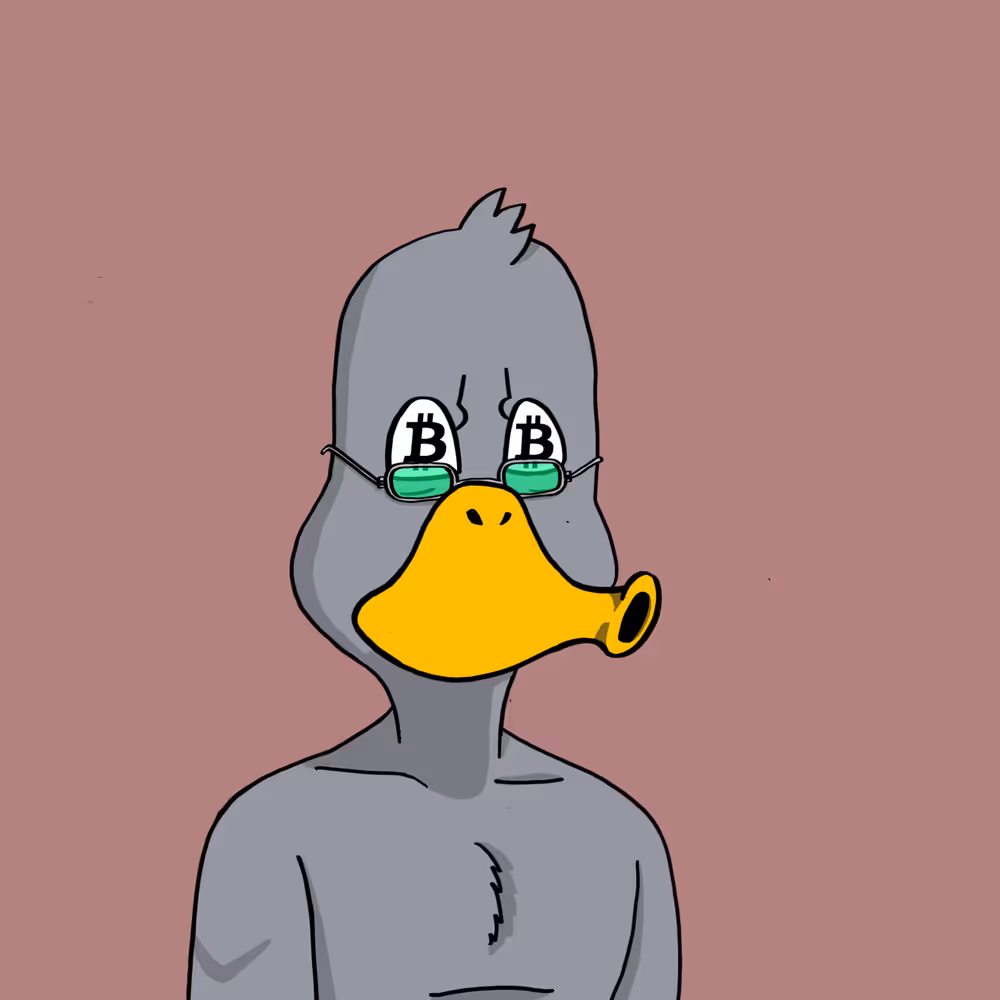 Duck #9980