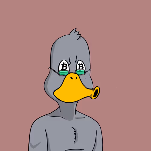 Duck #9980