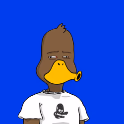 Duck #957
