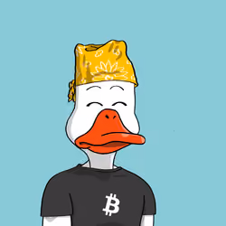 Duck #7563