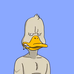Duck #8953