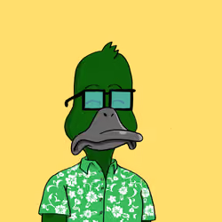 Duck #9095