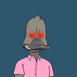 Duck #6686