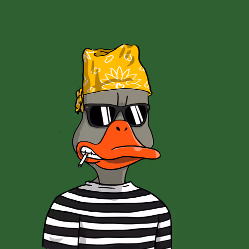 Nonconformistducks
