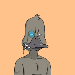 Duck #603