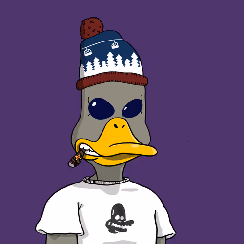 Duck #4158