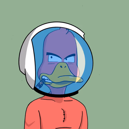 Duck #495