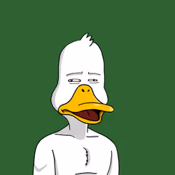 Duck #419
