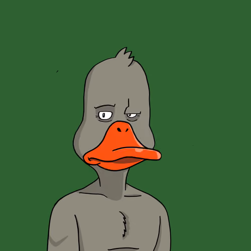 Duck #9161