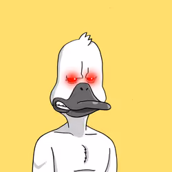 Duck #712