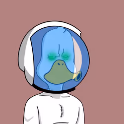 Duck #222