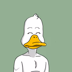 Duck #7653