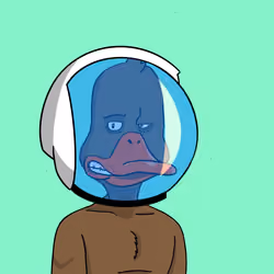 Duck #4404