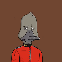 Duck #3616
