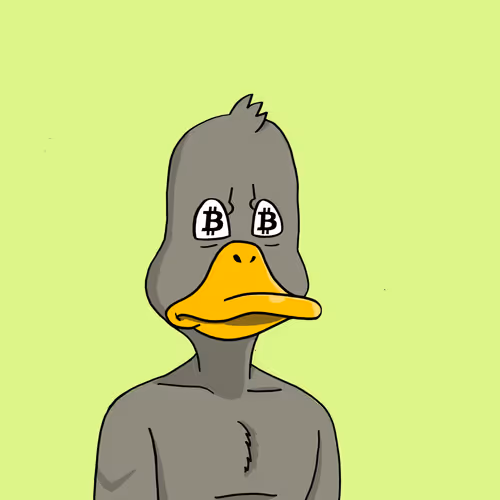 Nonconformistducks