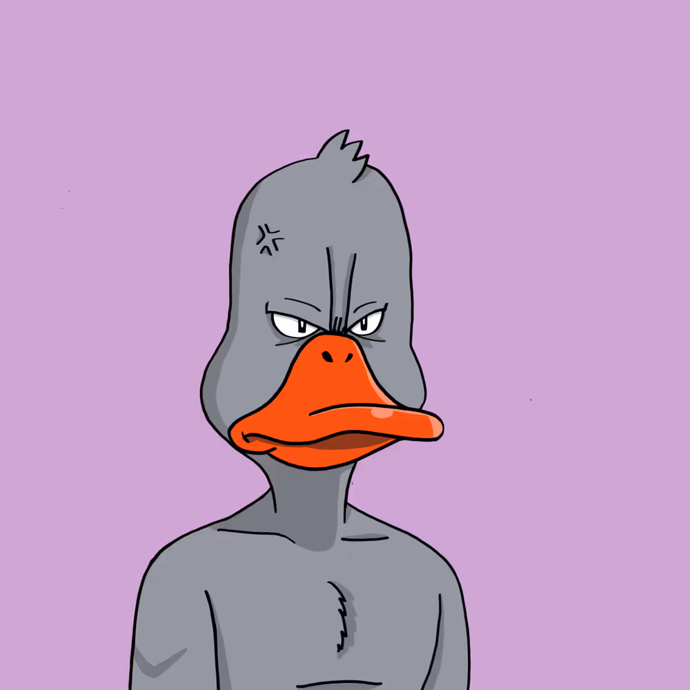 Duck #9981