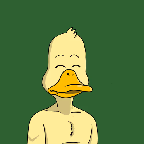 Duck #9972