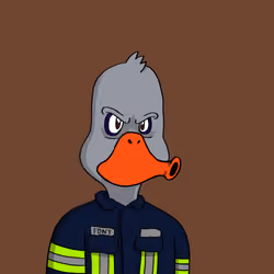 Duck #7252