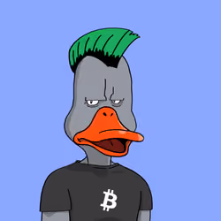 Duck #4483
