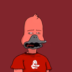 Duck #4796