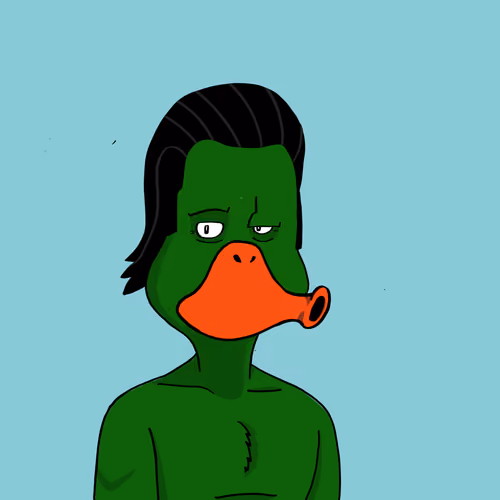 Duck #4678