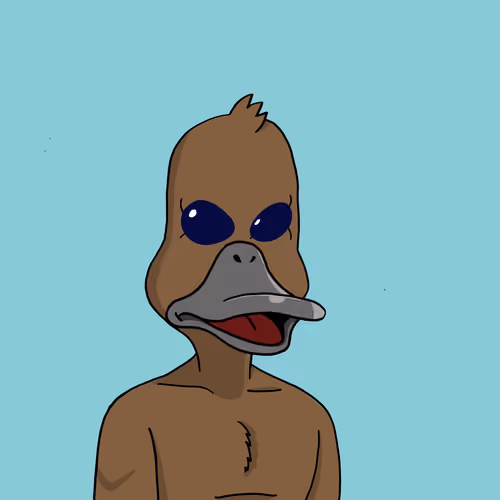 Duck #9066