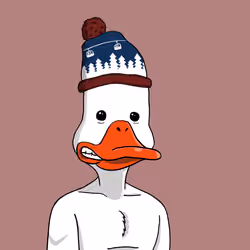 Duck #9557