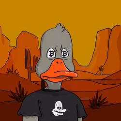 Duck #6753