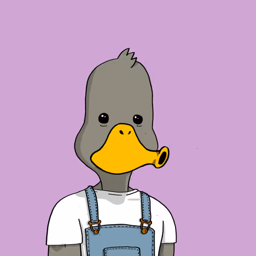 Duck #9979