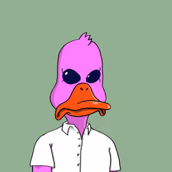 Duck #3673