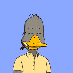 Duck #8146