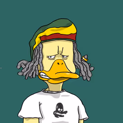 Duck #8081