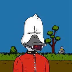 Duck #242